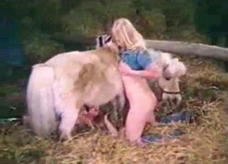 Insane dog sex action looks great
