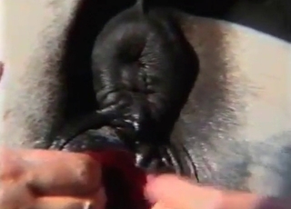 You definitely has to watch this bestiality XXX