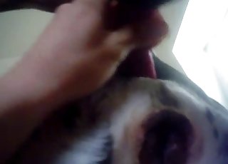 Schön zu sehen, wie dieser große Schwanz eine riesige Ladung abspritzt