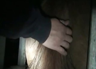 Stallion and a hot chick are enjoying bestiality XXX