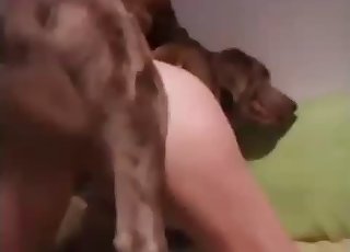 Intensive anal sex with a gorgeous trained doggy