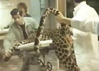 The asshole of a jaguar gets stimulated with intensity