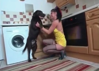 Sex in the kitchen with an elegant dog