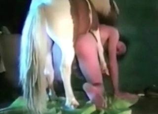 Dog is having an awesome sex at the farm