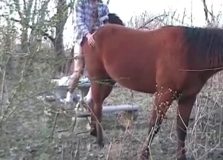 Hors adores asshole fingering