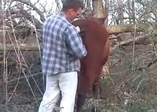 Hors adores asshole fingering