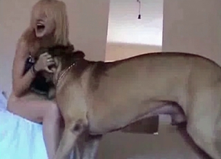 Hound's wiener is a gift for a zoofil