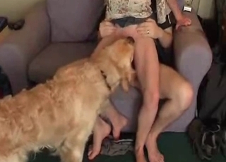 Couple is having sex with a trained brute