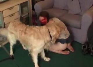 Couple is having sex with a trained brute