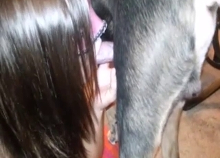 Sweet dog sex action with a girl in fishnet