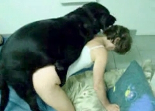 Oral bestiality session with a hot doll