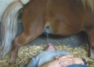 Pony pissing everywhere, including that mouth