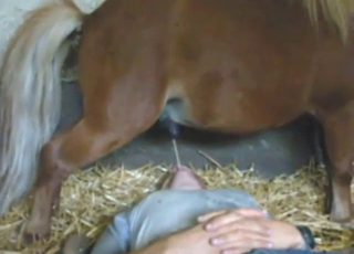 Pony pissing everywhere, including that mouth