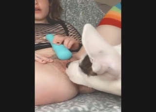 Live dog cunnilingus + toy-fuck whore play