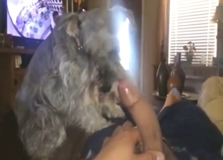 Hot beast lapping dick up n' down on cam