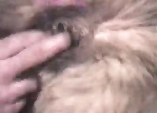 Bestiality oral sex in this really sensual XXX video