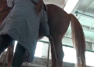 The star of this video is a horse that shits in the barn