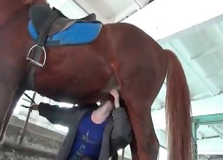 The star of this video is a horse that shits in the barn