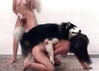 Horny sluts decide to have some kinky fun with a dog