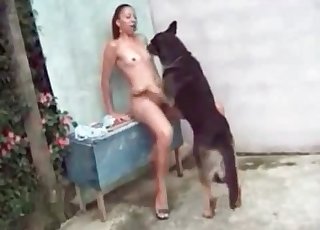 Sexy doggy and a very passionate Latina babe