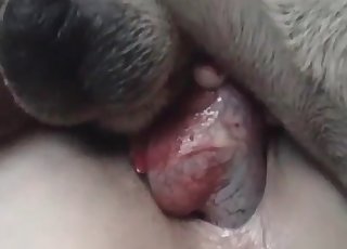 Amateur sex entertainment filed in lovely close up