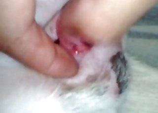 Worth to see this impressive amateur bestiality XXX action