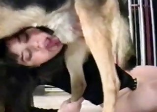Pervert brunette wants to suck a dog cock like a slut