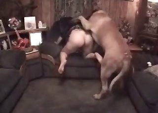 Sexy stor-rumpe dukke pult av sitt eget dyr