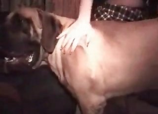 Seksikäs iso perse nukke pani hänen oma peto