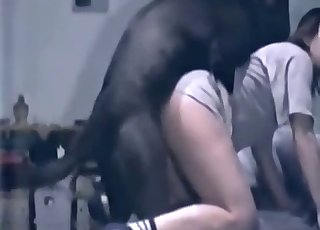 Žena dostane úplne dominovaný skvelým psom