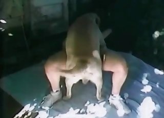 Woman with a fat ass gets banged by a hung stallion