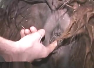 Watch him fingering that tight animal hole