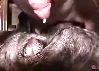 Hayvanın kıç deliği bir canavar tarafından vahşice beceriliyor