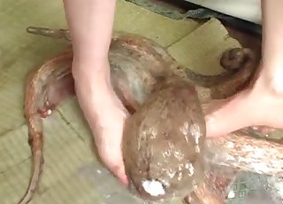 Pair of Asians with a pissing fetish piss on an octopus