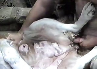 अविश्वसनीय रूप से बड़े लंड वाले लड़के के लिए अद्भुत चुदाई-उत्सव