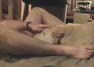 Intense ass eating for a horny lad by his horny dog