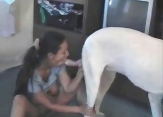 Black-haired girl is sucking an animal boner