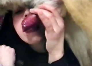 Amateur bestiality where a doggo gets a sloppy BJ