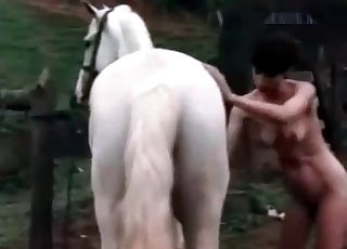The main star of this amazing animal sex vid is a white horse
