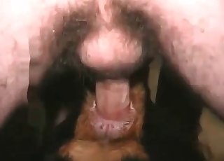 Sweet zoophile slut takes a huge animal boner