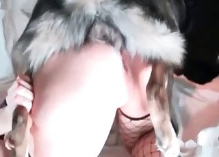 สุนัขฝึกหัดและสาวฮอตสนุกสนานกับเซ็กส์แบบสัตว์