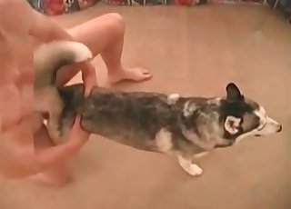 The tight asshole of this horny doggie is banged