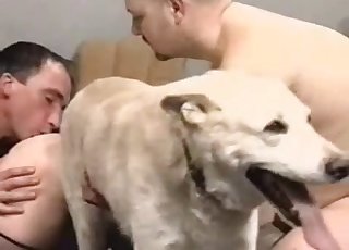 Brutal bestiality orgy with an awesome doggy