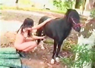 Horse with big cock and a submissive brunette