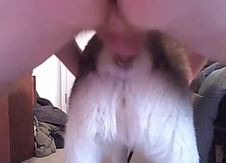 Animal cunt nicely fucked by a big cock