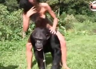 Amazing monkey has some sexual fun in the jungle