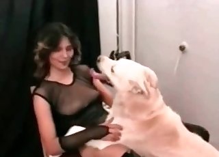 Sexy doggy and a zoofil fuck so good