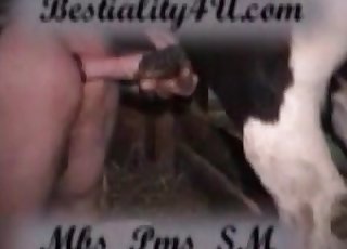 Naughty farm beast in the bestiality XXX