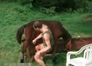Dude is having sexual entertainment with a horny horse