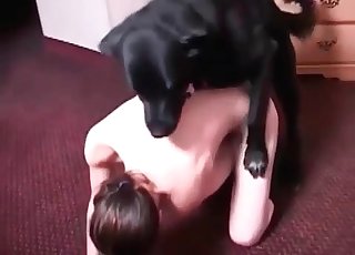 Sex with a dark-hued doggy in the bedroom